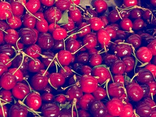 Poster - red sweet cherries fruits at spring close up