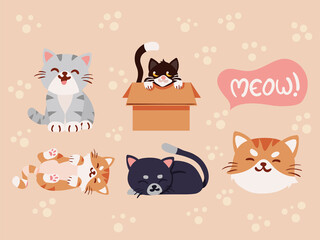 Poster - set of cute cats