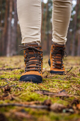 Wall Mural - Tourist with hiking boots walking in forest. Waterproof leather ankle boot