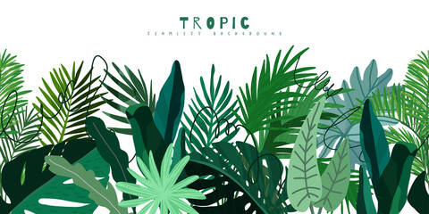 Wall Mural - Tropical seamless border, hand drawn vector art