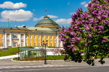 Wall Mural - Kremlin Senate palace (Russian president residence) in spring, Moscow, Russia