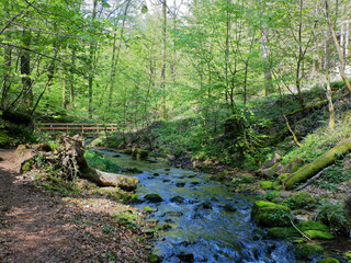 Mullerthal Trail, May 2019 : Big hike in the Mullerthal Trail (or Little Luxembourg Switzerland) located in the Luxembourg Ardennes