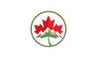 Maple leaf logo. Canadian Flag logo
