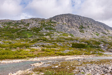 Wall Mural - Skagway, Alaska, USA - July 20, 2011: Klondike highway to Canada. Fast flowing creek meanders over rocks with sparse green vegetation in high desert under blue cloudscape.