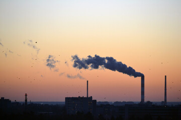 Smoke coming from factory's chimney at sunset