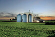 © Jr Studio Foto - Campo de milho ao entardecer com silos de armazenagem de grãos