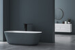 Modern minimalist bathroom interior, modern bathroom cabinet, white sink, oval mirror, concrete flooring, bathroom accessories, bathtub, dark blue walls. 3d rendering
