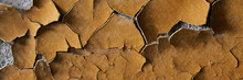 Peeling Paint On The Wall. Panorama Of A Concrete Wall With Old Cracked Flaking Paint. Weathered Rough Painted Surface With Patterns Of Cracks And Peeling. Wide Panoramic Grunge Texture For Background