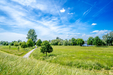 Canvas Print - Wiese am Mainufer, Ruesselsheim, Hessen, Deutschland 