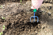  Gardener's Hand Works The Soil With A Rake.