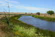 Water Way at Suisun City Marsh with Trees