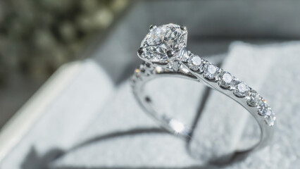 Wall Mural - Close up of diamond ring with white flower, sunlight and shadow background. Love, valentine, relationship and wedding concept. Soft and selective focus.