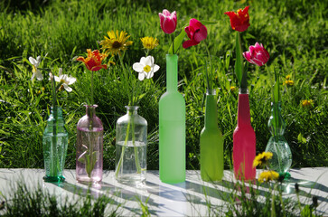 Wall Mural - Tulips and daffodils in colorful vases and bottles against the background of grass.