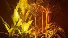 Cyber Background Design. Tropical Plants With Yellow And Orange, Circle Shaped Neon Frame.