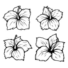 Set Of Illustrations Of Hibiscus Flower. Design Elements For Logo, Label, Sign, T Shirt. Vector Illustration