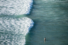 View Of Tourist Bathing Near Dangerous Rip Current At Piha Beach, Auckland, New Zealand. Copy Space Stock Photo.