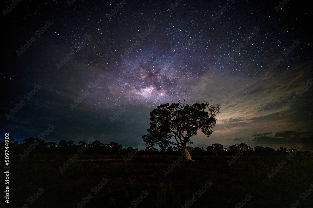 Milky Way Galaxy moving over the tree. Night lapse from night to day ...