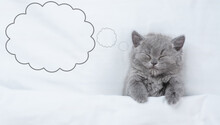 Dreaming Kitten Lying Under White Warm Blanket On A Bed At Home. Top Down View, Empty Space For Text