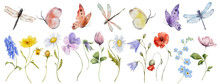 Wildflowers Watercolor Botanical Illustration With Butterfly And Dragonfly