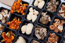 Containers Of Mixed Gourmet Mushrooms At A Farmers Market