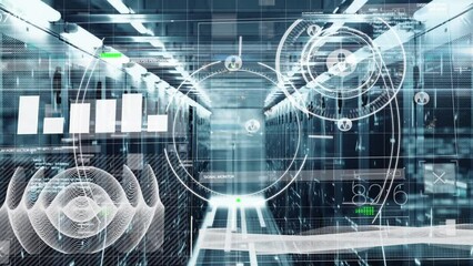 Poster - Animation of diverse data processing over servers