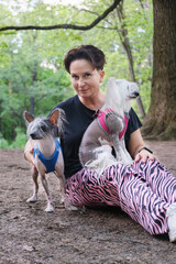 Woman and two Chinese Crested dogs for a walk. Purebred hairless dogs in harnesses sitting next to their owner.