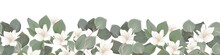 Vector Seamless Border. Eucalyptus, Green Plants And Leaves. Delicate Sakura, Magnolia, White Flowers
