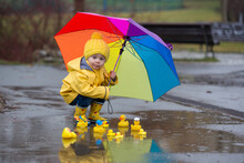 Beautiful Funny Blonde Toddler Boy With Rubber Ducks And Colorful Umbrella, Jumping In Puddles And Playing In The Rain