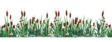 Cattail Border. Seamless Pattern Of Swamp Reed Plants, Pond And River Botany Background. Vector Strip Print Of Bulrush Grass