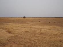 Paysage Désertique Au Sahel En Afrique
