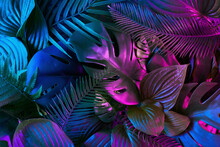 Creative Flat Lay With Leaves In Vibrant Gradient Holographic Neon Colors. Minimal Jungle Background. Creative Summer Concept.