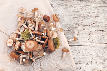 Wall Mural - Honey agaric. A bunch of forest fresh mushrooms on an old wooden board, top view, copy space