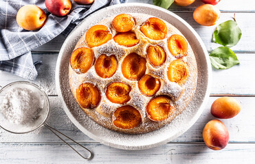 Delicious apricot cake sprinkled sugar powder on garden table.