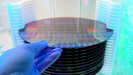 Canvas Print - Gloved Hand Holding a Silicon Wafer in plastic holder box