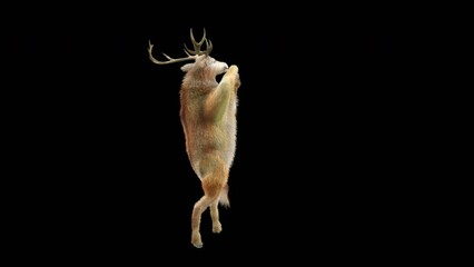Wall Mural - deer dancing cg fur 3d rendering animal realistic cgi vfx animation loop composition 3d mapping cart