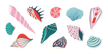 Set Of Colorful Sea Shells. Vector Flat Illustration