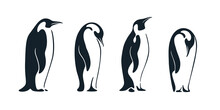 Silhouette Of Penguin. Cute Animals Illustration. Vector Print For  Poster, Postcard, Pattern.