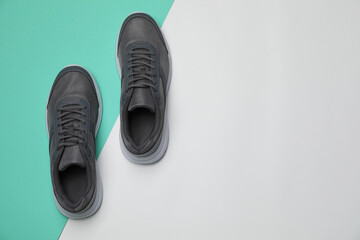 Wall Mural - pair of stylish sport shoes on color background, flat lay. space for text