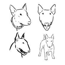 Cute Bull Terrier Dog Sketch. Vector Illustration In Hand-drawn Style. Image For Printing On Any Surface