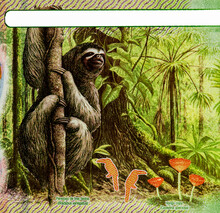 Rainforest In The Background, With Three-toed Sloth, 2 Birds, Cup Mushrooms, And Orchid Flower. Portrait From Costa Rica 10 000 Colones 2019 Banknotes.