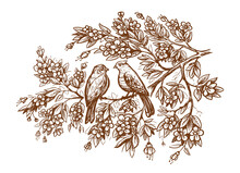 Cute Birds On Tree Branch With Flowers Sketch. Love Concept Vector. Hand Drawn Drawing In Vintage Engraving Style