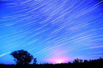 Wall Mural - star tracks in the sky. the movement of stars over a field and a lone tree. the night sky on long ex