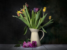 Still Life Of Faded Tulips In Jug With Dead Roses On White Wood Table Against Dark Background	