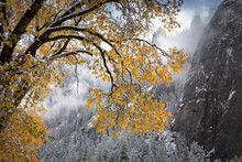 Yosemite Valley In A Rare Fall Snowstorm, California