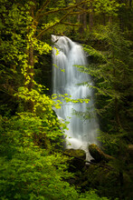 A Waterfall Framed By Trees In Olympic National Park, Washington, USA