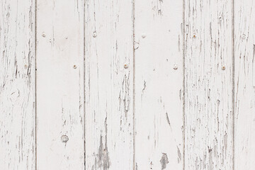 Old White Wooden Door Texture