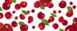 Flying cherry with green leaves isolated on a white background. Falling red berries pattern. Banner.