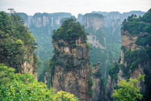 Avatar Hallelujah Mountain Behind The Trees In Wulingyuan National Forest Park, Zhangjiajie, Hunan, China, Inspiration Of The Avatar Film's Flying Mountains