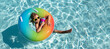 Carefree kid boy at summer weekend. Summertime activities or adventure at aquapark. Banner for design header, copy space.