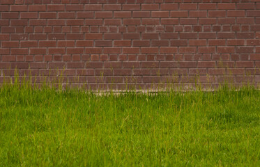 Wall Mural - Red brick wall with grass floor in room style